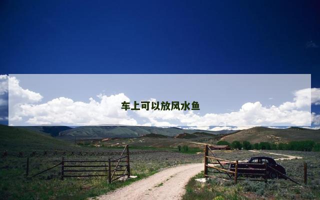 车上可以放风水鱼