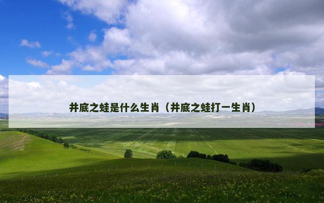 井底之蛙是什么生肖（井底之蛙打一生肖）