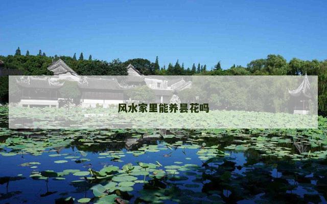 风水家里能养昙花吗