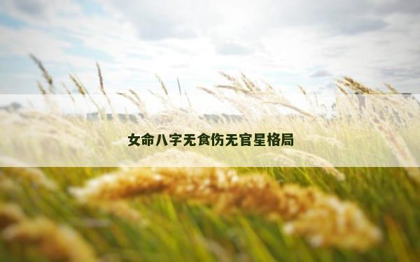 女命八字无食伤无官星格局