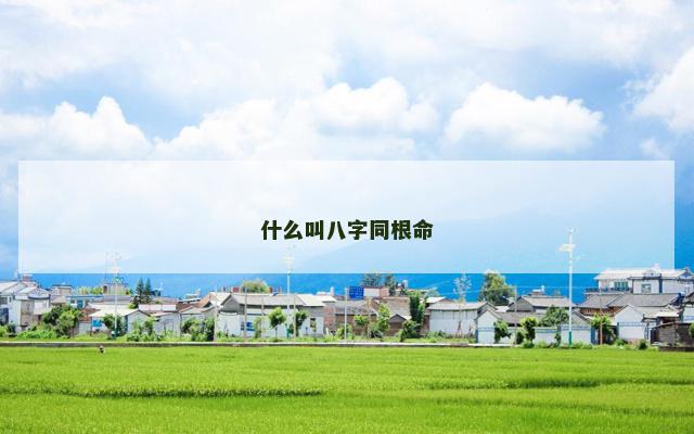 什么叫八字同根命