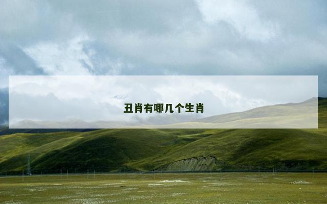 丑肖有哪几个生肖