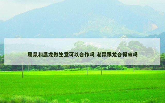 属鼠和属龙做生意可以合作吗 老鼠跟龙合得来吗