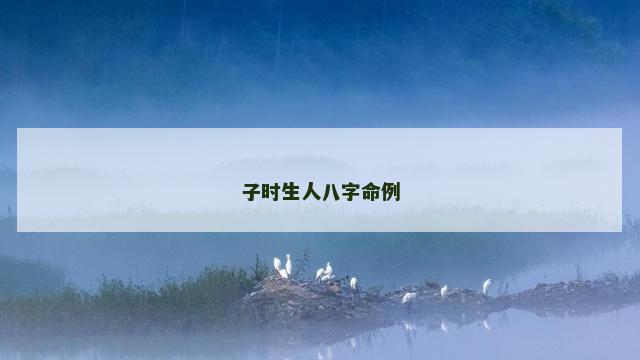 子时生人八字命例