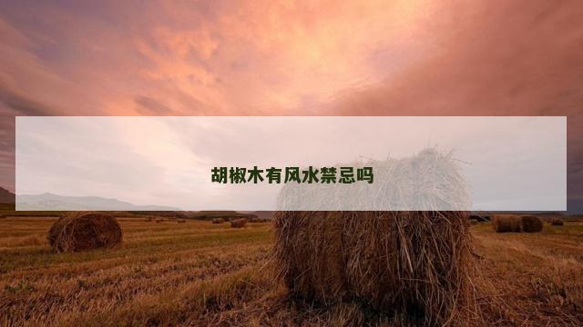 胡椒木有风水禁忌吗