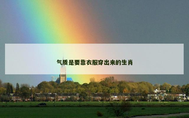 气质是要靠衣服穿出来的生肖