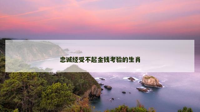 忠诚经受不起金钱考验的生肖
