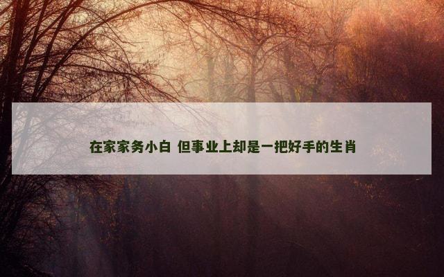在家家务小白 但事业上却是一把好手的生肖
