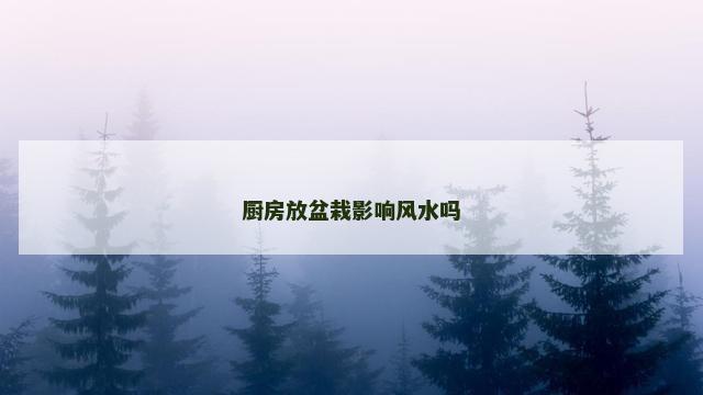 厨房放盆栽影响风水吗