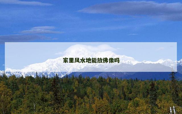 家里风水地能放佛像吗