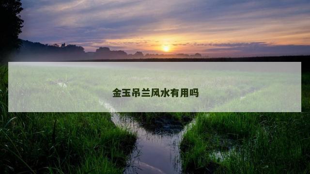 金玉吊兰风水有用吗
