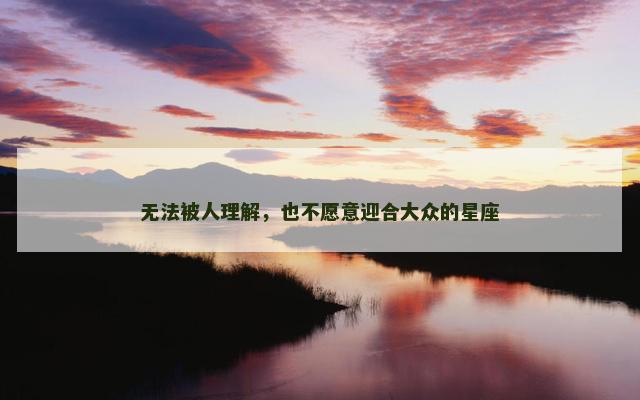 无法被人理解，也不愿意迎合大众的星座