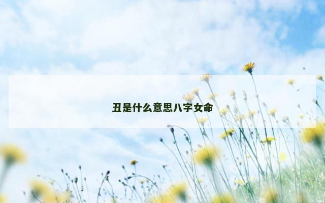 丑是什么意思八字女命