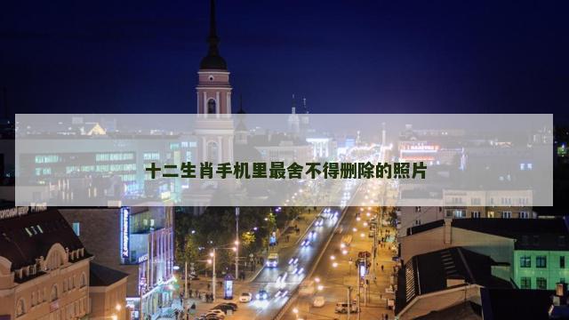 十二生肖手机里最舍不得删除的照片