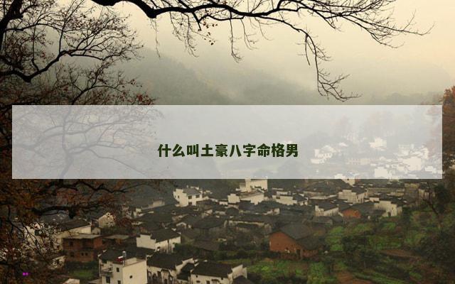 什么叫土豪八字命格男