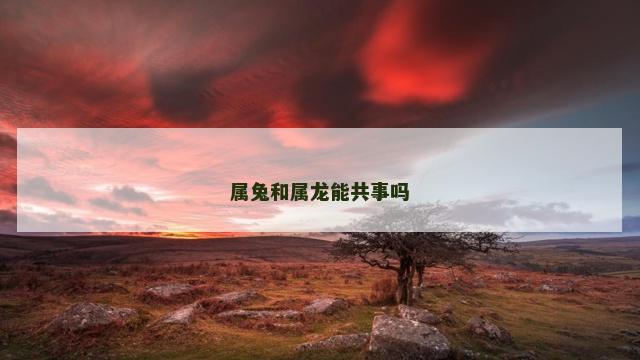 属兔和属龙能共事吗