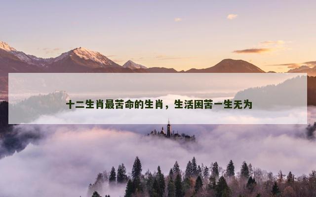 十二生肖最苦命的生肖，生活困苦一生无为