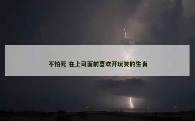 不怕死 在上司面前喜欢开玩笑的生肖