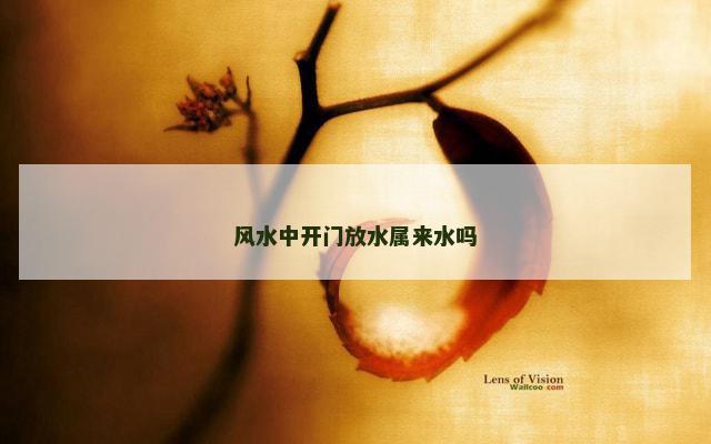 风水中开门放水属来水吗