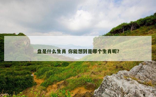 盘是什么生肖 你能想到是哪个生肖呢？