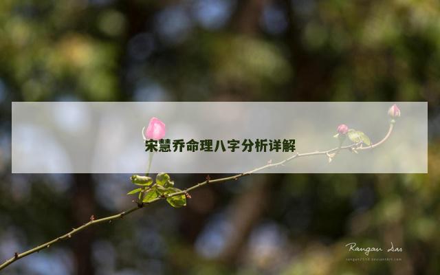 宋慧乔命理八字分析详解