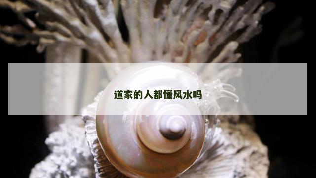 道家的人都懂风水吗
