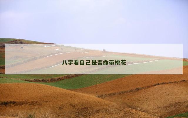 八字看自己是否命带桃花