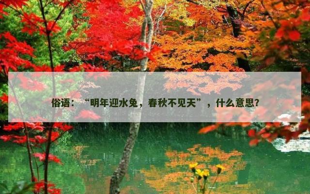 俗语：“明年迎水兔，春秋不见天”，什么意思？