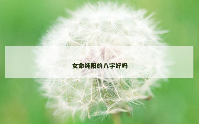 女命纯阳的八字好吗