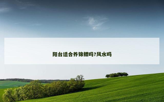阳台适合养锦鲤吗?风水吗