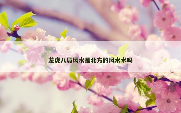 龙虎八局风水是北方的风水术吗