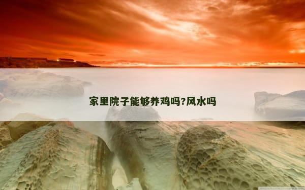 家里院子能够养鸡吗?风水吗