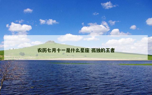 农历七月十一是什么星座 孤独的王者