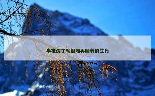 半夜醒了就很难再睡着的生肖