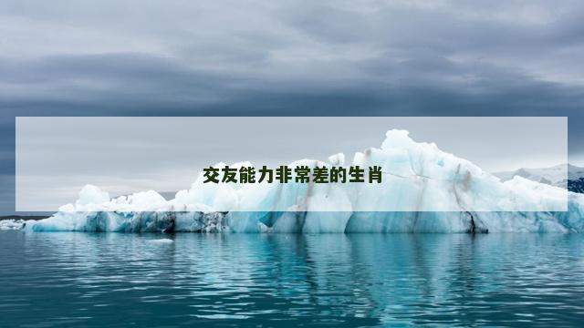 交友能力非常差的生肖