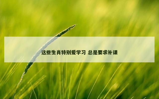 这些生肖特别爱学习 总是要求补课