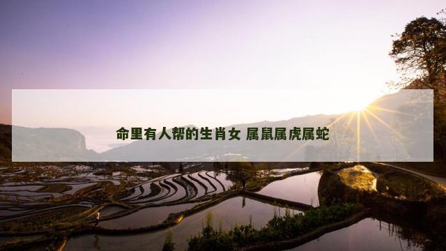 命里有人帮的生肖女 属鼠属虎属蛇