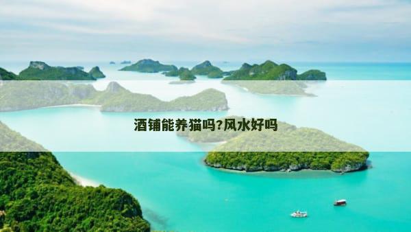 酒铺能养猫吗?风水好吗