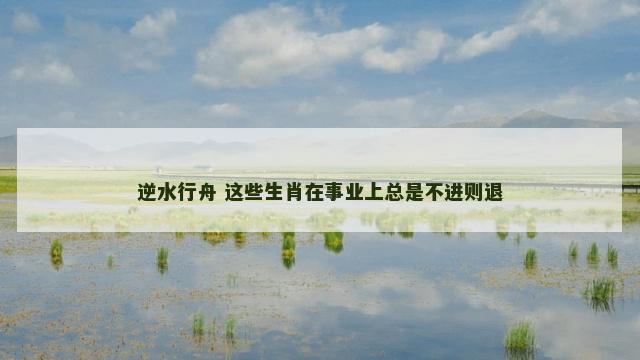 逆水行舟 这些生肖在事业上总是不进则退