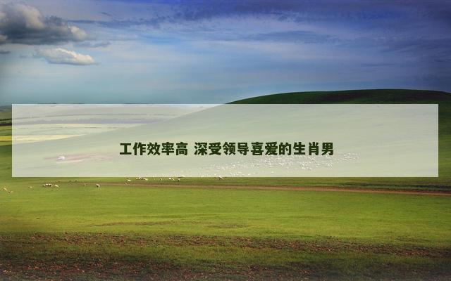 工作效率高 深受领导喜爱的生肖男