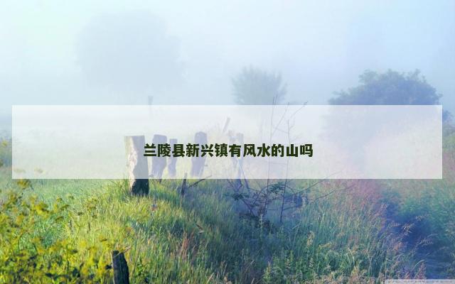 兰陵县新兴镇有风水的山吗
