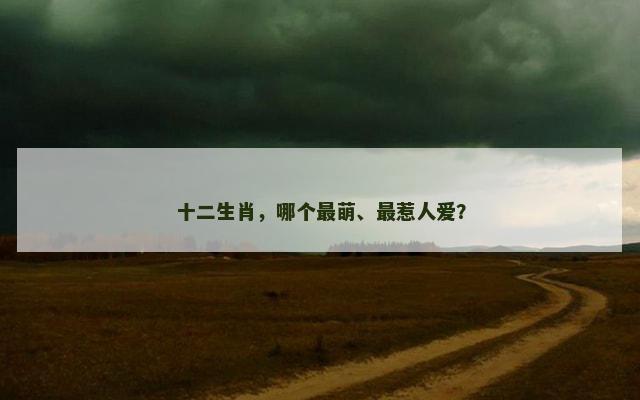 十二生肖，哪个最萌、最惹人爱？