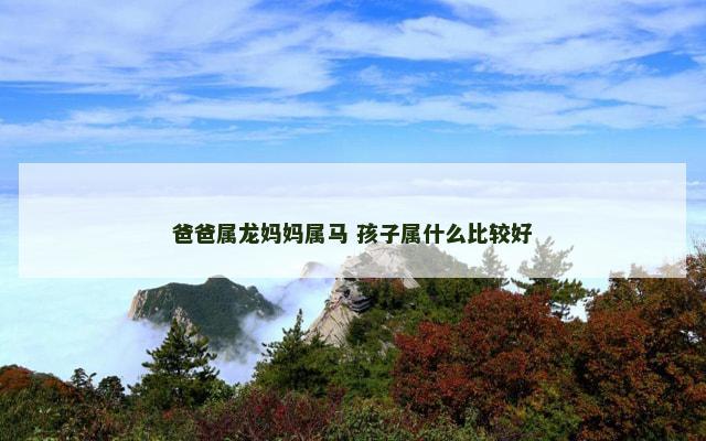 爸爸属龙妈妈属马 孩子属什么比较好
