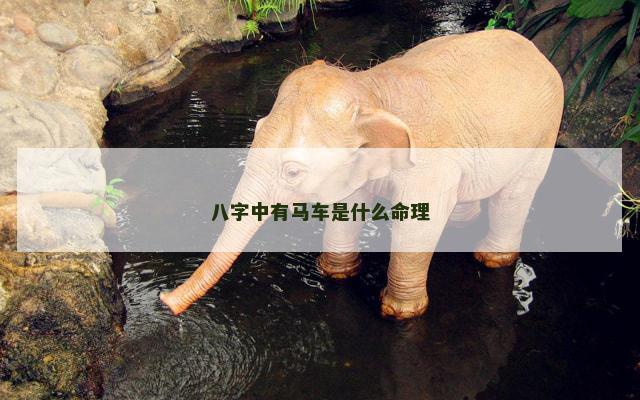 八字中有马车是什么命理