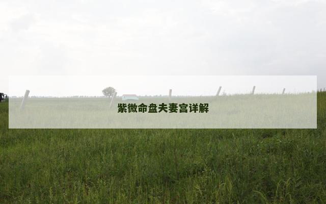 紫微命盘夫妻宫详解