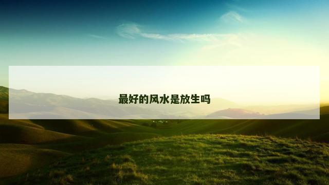 最好的风水是放生吗