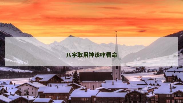 八字取用神该咋看命