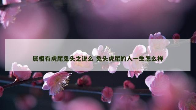 属相有虎尾兔头之说么 兔头虎尾的人一生怎么样