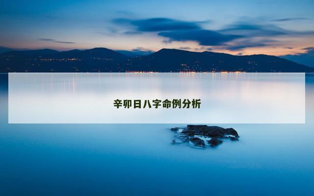 辛卯日八字命例分析