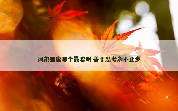风象星座哪个最聪明 善于思考永不止步